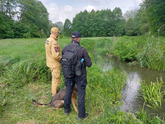 funkcjonariusze z psem służbowym nad rzeką