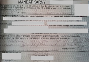 mandat karny