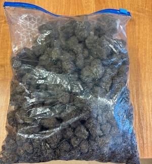 narkotyki w woreczku strunowym