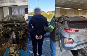Zatrzymany mężczyzna oraz skradzione auta.