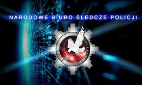 grafika Narodowe Biuro Śledcze Policji
