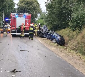 auto w rowie, obok wóz strażacki